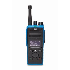 Entel DT985 ATEX